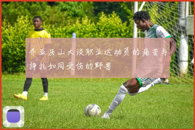 乔亚历山大谈职业运动员的痛苦与挣扎如同受伤的野兽